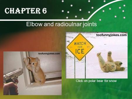 Chapter 6 Elbow and radioulnar joints Click on polar bear for snow.