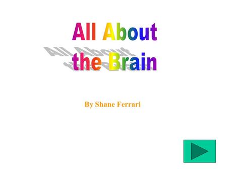 By Shane Ferrari What the Brain Does What the Brain Is Made Of Animal Brains.