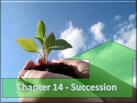 Obj.Assessment StatementNotes 2.6.5 Describe the concept and processes of succession in a named habitat. Page 265-270 Students should study named examples.