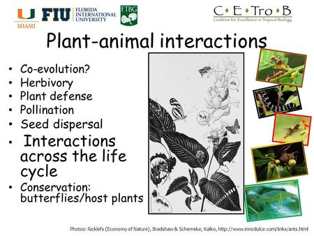 Plant-animal interactions Co-evolution? Herbivory Plant defense Pollination Seed dispersal Interactions across the life cycle Conservation: butterflies/host.