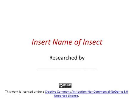 Insert Name of Insect Researched by ____________________ This work is licensed under a Creative Commons Attribution-NonCommercial-NoDerivs 3.0 Unported.