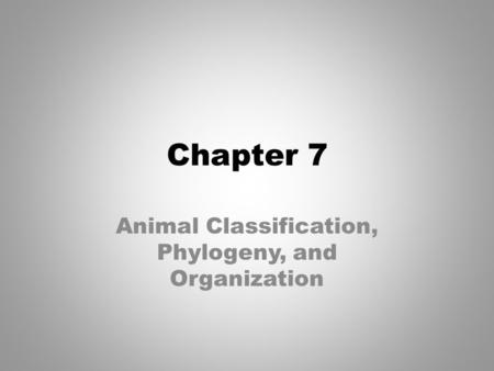 Animal Classification, Phylogeny, and Organization