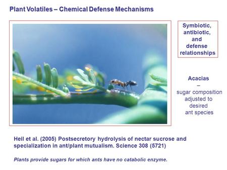 Plant Volatiles – Chemical Defense Mechanisms Symbiotic, antibiotic, and defense relationships Acacias – sugar composition adjusted to desired ant species.