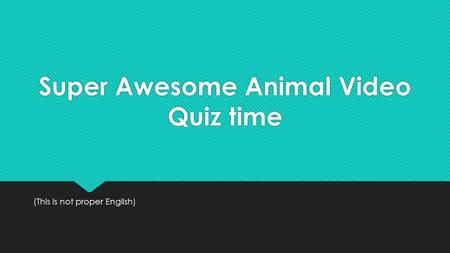 Super Awesome Animal Video Quiz time (This is not proper English)