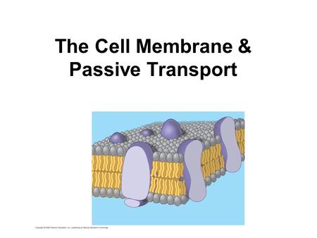 The Cell Membrane & Passive Transport. The cell membrane is the boundary that separates the living cell from its surroundings Life has an inside and an.