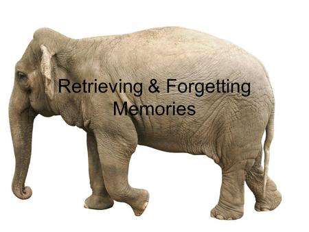 Retrieving & Forgetting Memories. Memory Construction Leveling: Simplifying material, shortening Sharpening: Highlighting or overemphasizing some details.