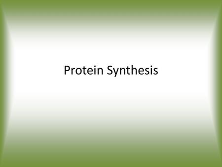 Protein Synthesis.