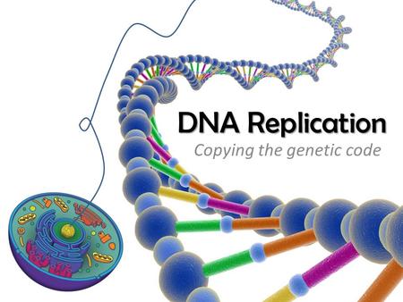 DNA Replication Copying the genetic code. DNA Replication  Unpack the Chromosomes  Unzip the DNA  Base pairing at the replication fork  Leading strand.