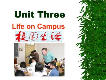 Unit Three Life on Campus. Questions  Do you often praise others?  Are you often praised by others?  Have you ever imagined your college life?  What.