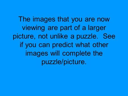 The images that you are now viewing are part of a larger picture, not unlike a puzzle. See if you can predict what other images will complete the puzzle/picture.