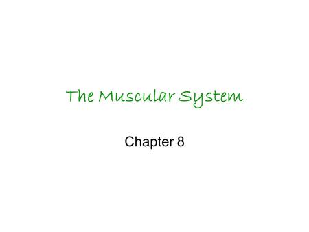 The Muscular System Chapter 8. All movement occurs because muscles use energy to contract.