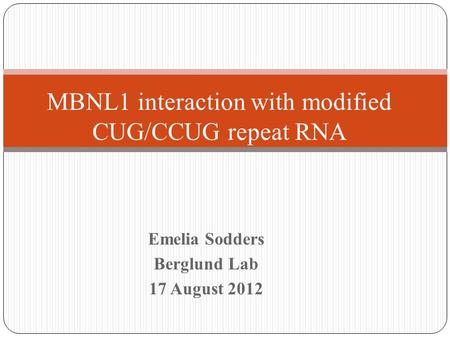 Emelia Sodders Berglund Lab 17 August 2012 MBNL1 interaction with modified CUG/CCUG repeat RNA.