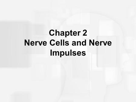 Chapter 2 Nerve Cells and Nerve Impulses. Neurons and How They Work: Link to video Link to video.