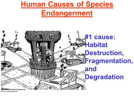 Human Causes of Species Endangerment #1 cause: Habitat Destruction, Fragmentation, and Degradation.