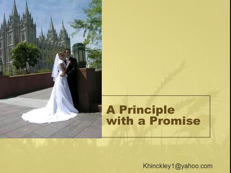 A Principle with a Promise Texas Limousine.