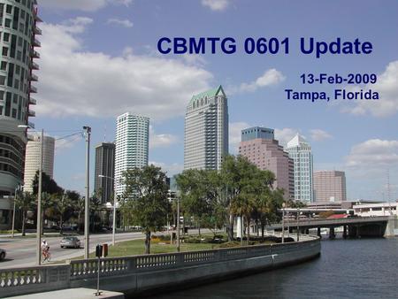 1 CBMTG 0601 Update 13-Feb-2009 Tampa, Florida. 22 Key Information Pivotal Phase III trial comparing G-PB with G-BM (experimental arm) 230 recipient-donor.