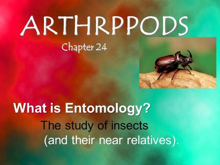 ARTHRPPODS What is Entomology? The study of insects