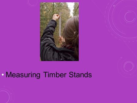 Measuring Timber Stands