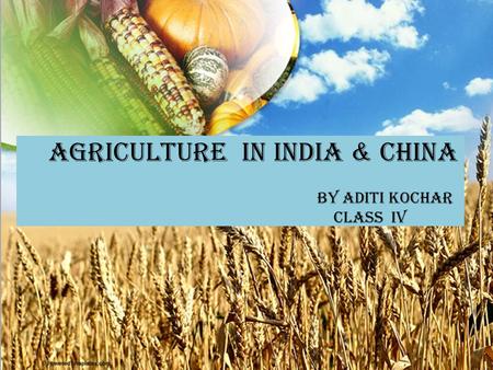 Agriculture in India & China by Aditi Kochar Class IV.