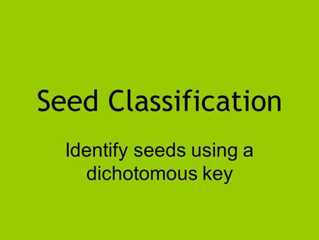 Identify seeds using a dichotomous key