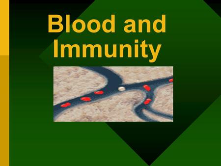 Blood and Immunity. I. Blood Is the liquid tissue of transport in humans Average human has 5-6 liters of blood Blood is composed of: red blood cells white.