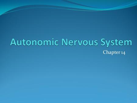 Chapter 14. Nervous System Central Nervous System (CNS) Brain Spinal Cord Peripheral Nervous System (PNS) Motor (efferent) Autonomic (involuntary) Sympathetic.