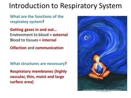 Introduction to Respiratory System