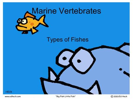 Marine Vertebrates Types of Fishes. I) Vertebrates A)Subphylum Vertebrae B)Four characteristics of chordates C)Backbone: AKA Spine or Vertebral Column.