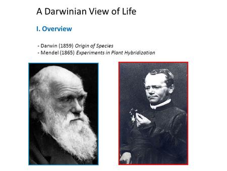 A Darwinian View of Life I. Overview - Darwin (1859) Origin of Species - Mendel (1865) Experiments in Plant Hybridization.