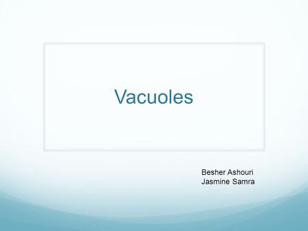 Vacuoles Besher Ashouri Jasmine Samra.