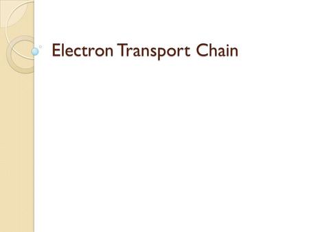 Electron Transport Chain. Review Glycolysis & the Krebs Cycle only produce 4 ATP/glucose Most of the energy from glucose is stored in NADH or FADH 2.