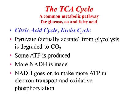 Citric Acid Cycle, Krebs Cycle