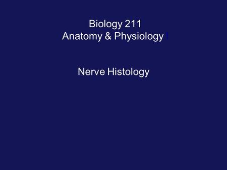 Biology 211 Anatomy & Physiology I Nerve Histology.