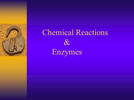 Chemical Reactions & Enzymes