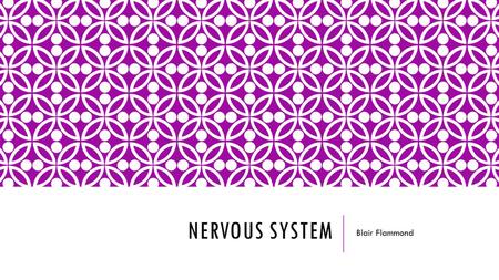 NERVOUS SYSTEM Blair Flammond. NERVOUS SYSTEM- FUNCTION The nervous system is a complex collection of nerves and specialized cells known as neurons that.