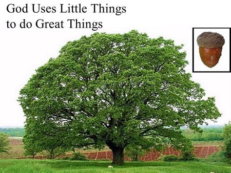 God Uses Little Things to do Great Things. God Created A Man from the Dust of the Ground And the LORD God formed man of the dust of the ground, and breathed.