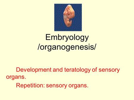 Embryology /organogenesis/ Development and teratology of sensory organs. Repetition: sensory organs.