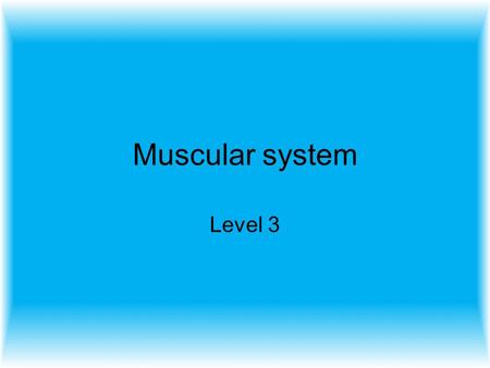 Muscular system Level 3.