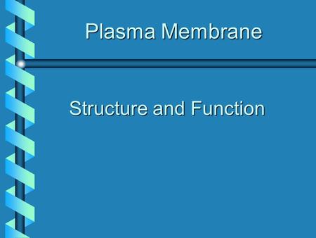 Plasma Membrane Structure and Function. Oligosaccharides CytoplasmCytoplasm Membrane Proteins Cholesterol Outer Surface Fluid Mosaic Model of Membrane.