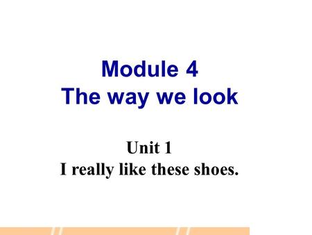 Module 4 The way we look Unit 1 I really like these shoes.