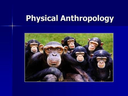 Physical Anthropology