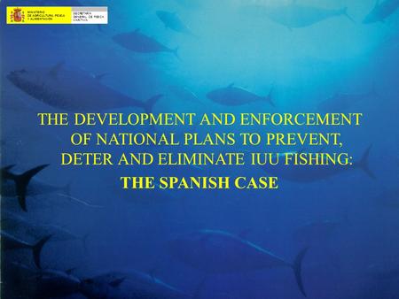 MINISTERIO DE AGRICULTURA, PESCA Y ALIMENTACIÓN SECRETARÍA GENERAL DE PESCA MARÍTIMA THE DEVELOPMENT AND ENFORCEMENT OF NATIONAL PLANS TO PREVENT, DETER.