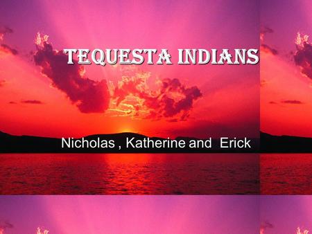 Tequesta Indians Nicholas, Katherine and Erick The first Indians  The Tequesta Indians were one of the first Indians to settle in south Florida.  They.