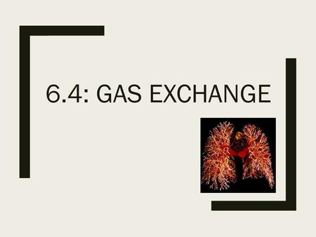 6.4: GAS EXCHANGE. Sketch and label a diagram of the ventilation system, including: Trachea, right/left lung, bronchus, bronchioles, ribs, intercostal.