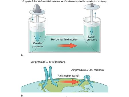 Atmospheric Motion Nonrotating Earth Equator – Warming and rising of air – Rising air cools as it ascends – Surface winds blow towards equator to replace.