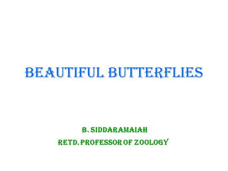 BEAUTIFUL BUTTERFLIES B. Siddaramaiah Retd. Professor of Zoology.