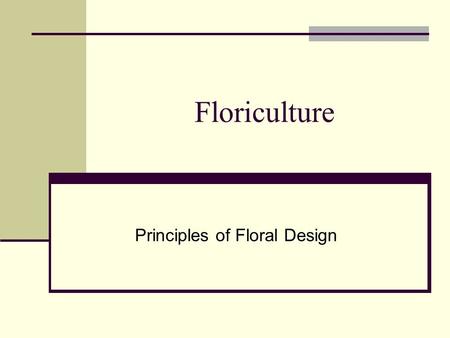 Principles of Floral Design