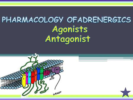 Alpha & beta- adrenergic receptor blockers Adrenoceptor Blockers Adrenolytics Adrenergic Neuron Blockers Sympatholytics  Form False Transmitters  Deplete.