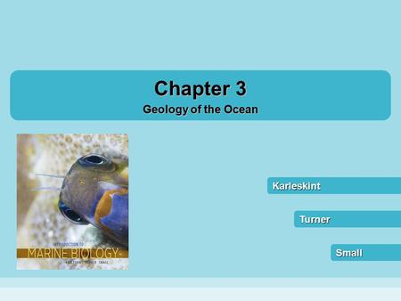 Karleskint Small Turner Chapter 3 Geology of the Ocean.