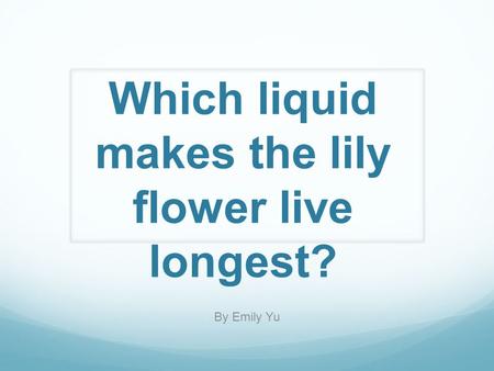 Which liquid makes the lily flower live longest? By Emily Yu.